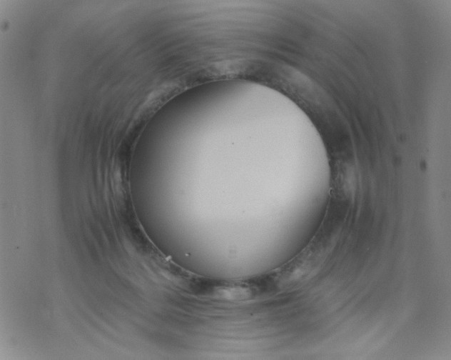 X0000070410220200606231836