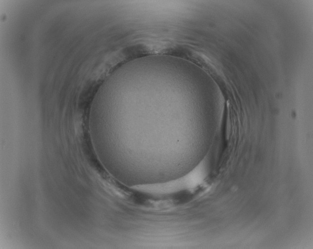 X0000070410221200606231836