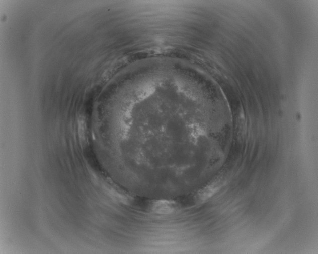 X0000070410222200606231836