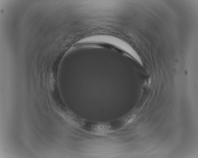 X0000070410223200606231836