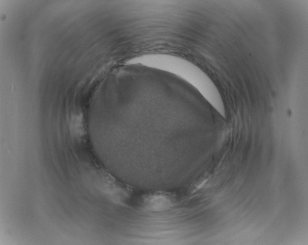 X0000070410224200606231836