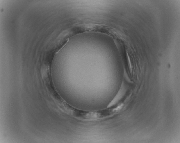 X0000070410225200606231836