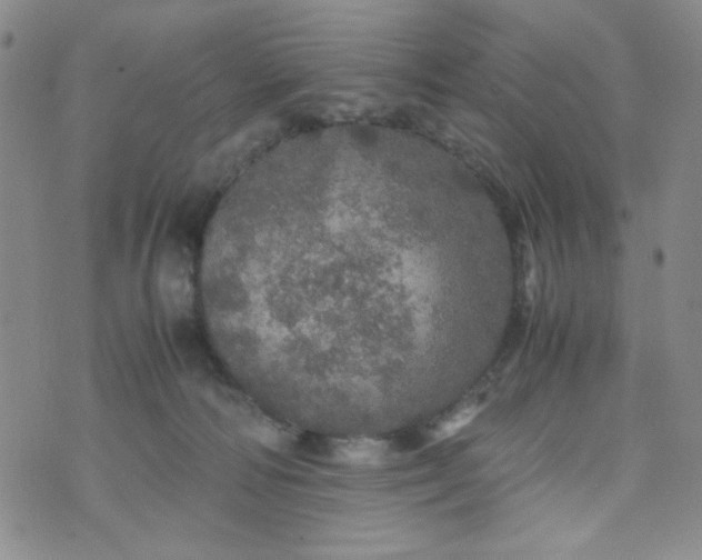 X0000070410226200606231836