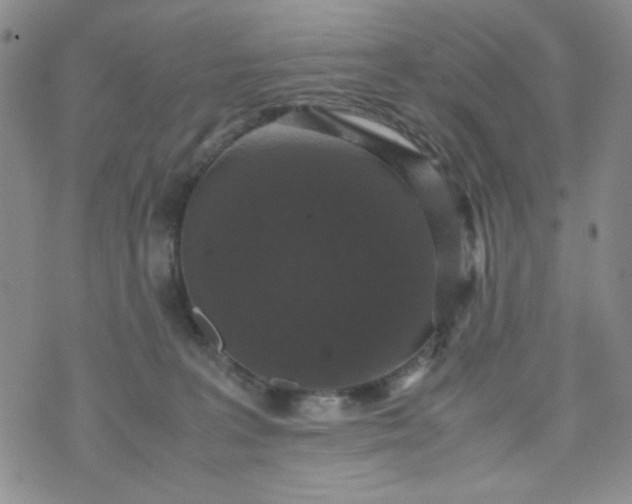 X0000070410227200606231836