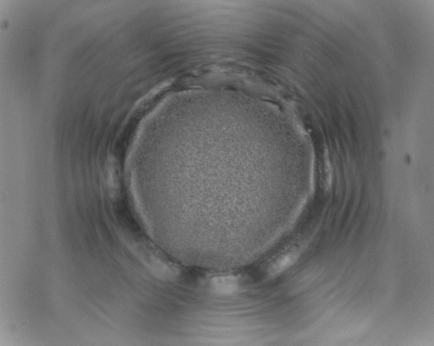 X0000070410228200606231836