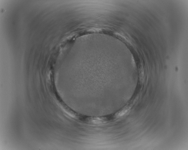 X0000070410229200606231836