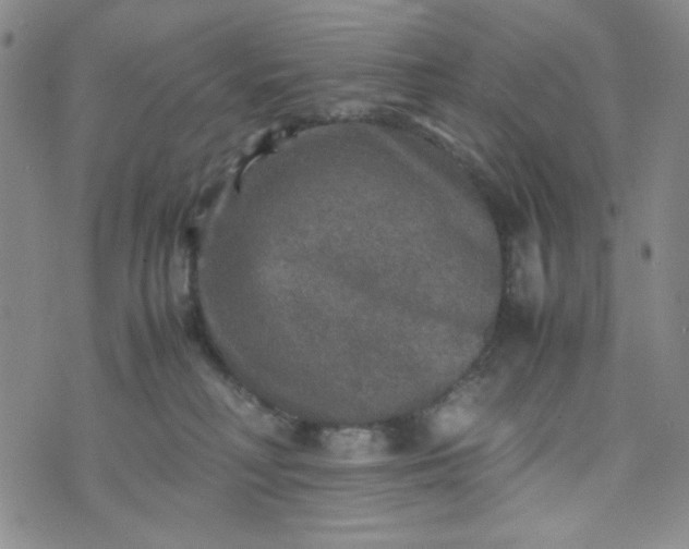 X0000070410230200606231836