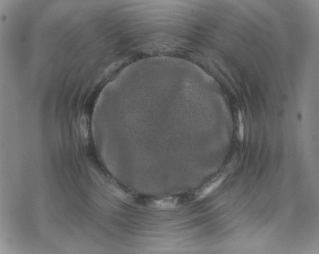 X0000070410232200606231836