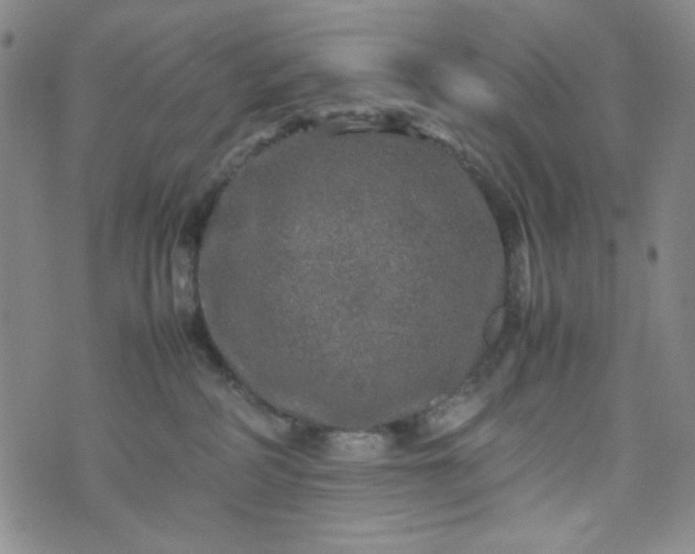 X0000070410234200606231836