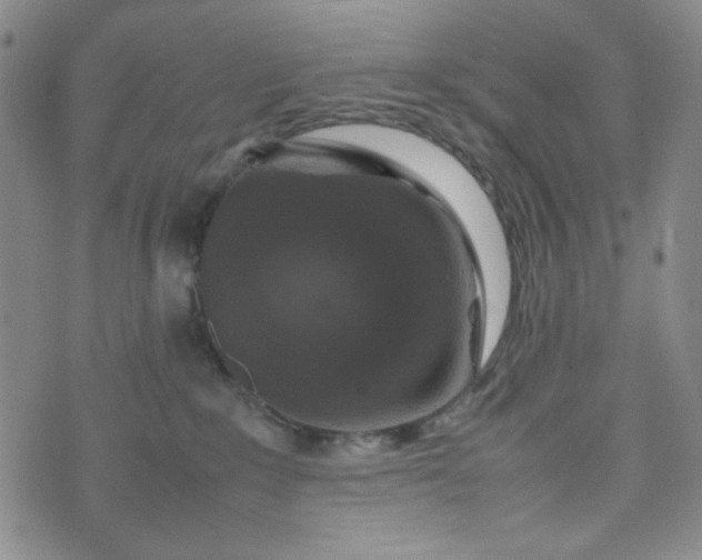 X0000070410235200606231836