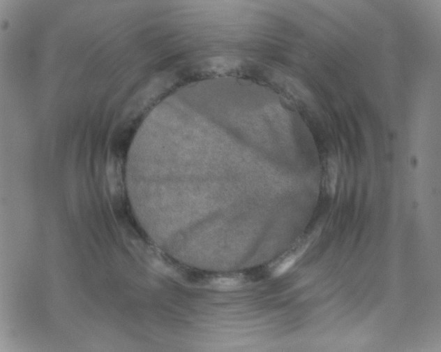 X0000070410236200606231836