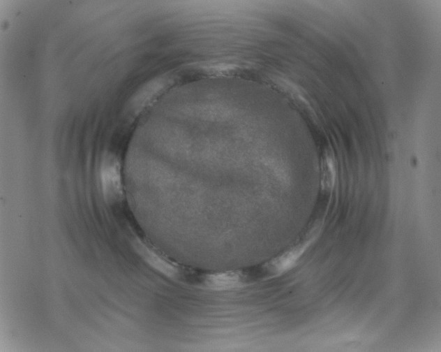 X0000070410238200606231836