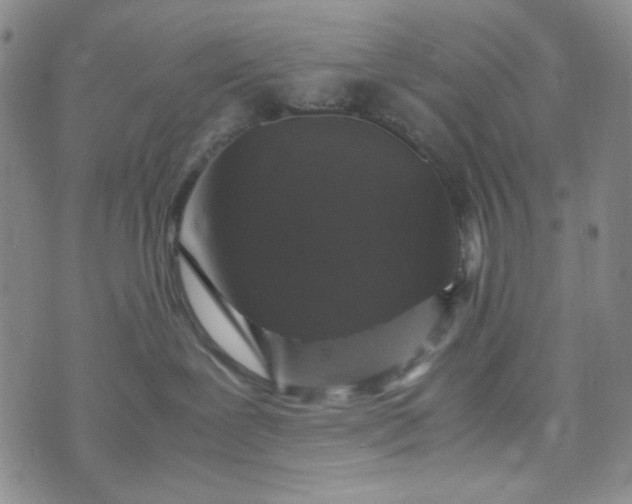 X0000070410239200606231836