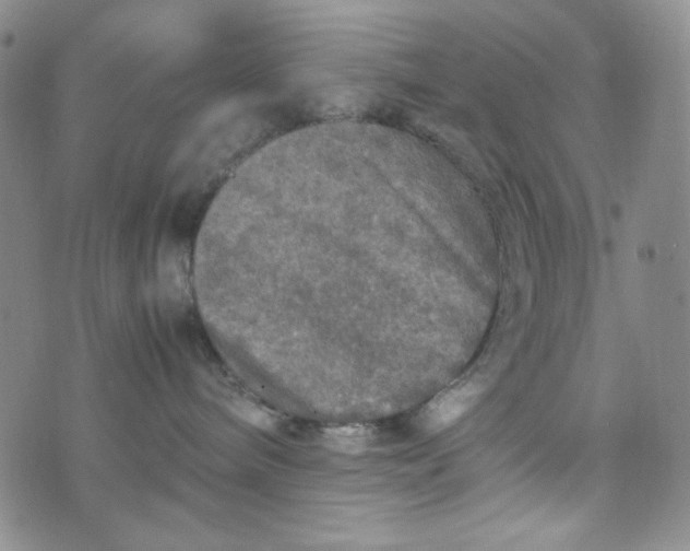 X0000070410240200606231836