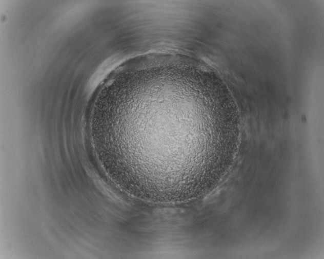 X0000070410242200606231835