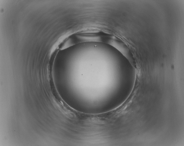 X0000070410244200606231835