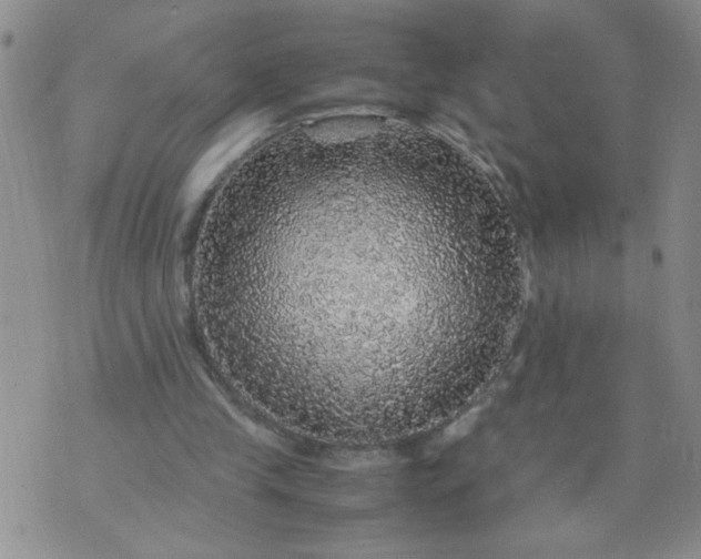 X0000070410245200606231835