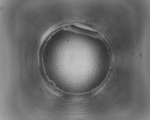 X0000070410246200606231835