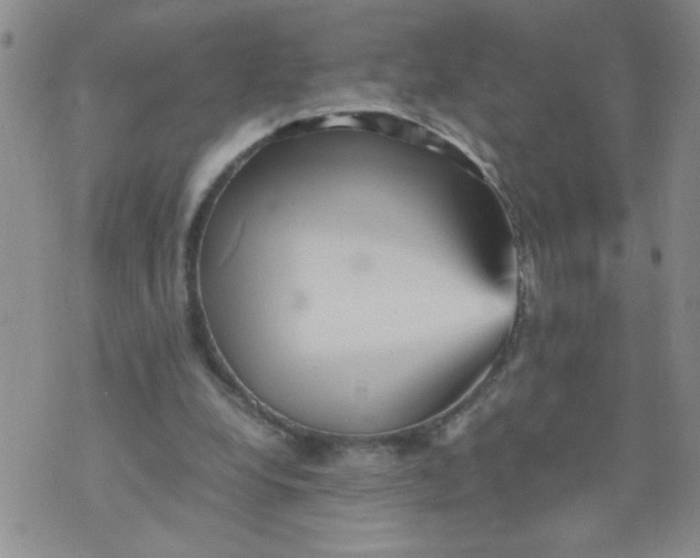 X0000070410248200606231835