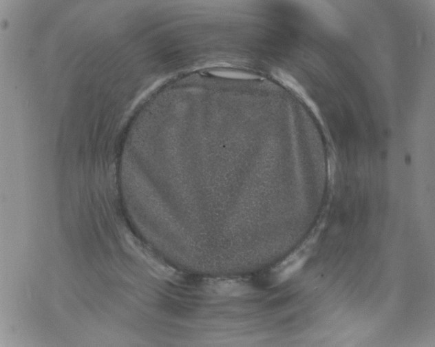 X0000070410249200606231835