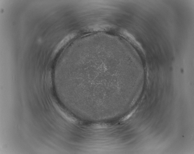 X0000070410250200606231835