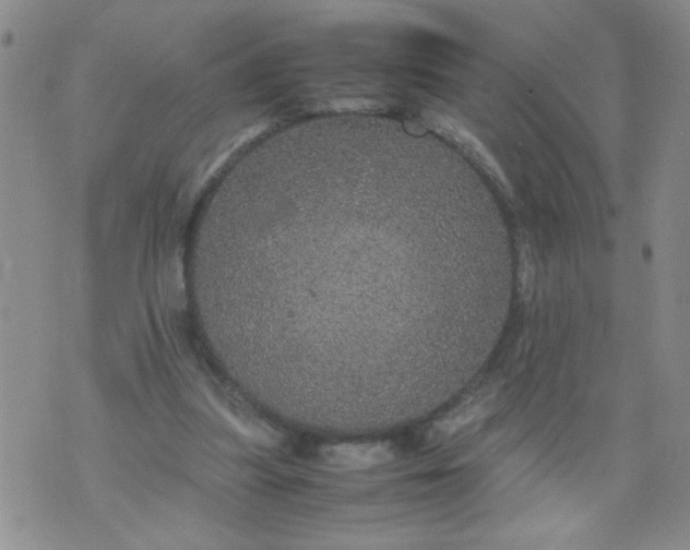 X0000070410251200606231835