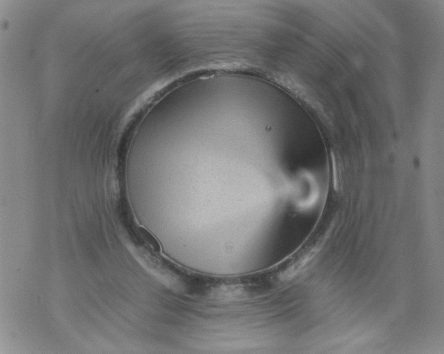 X0000070410252200606231835