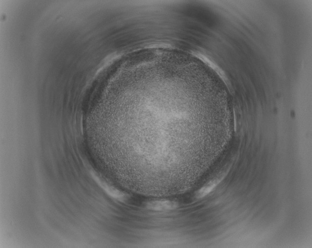 X0000070410253200606231835