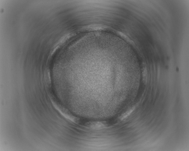 X0000070410254200606231835