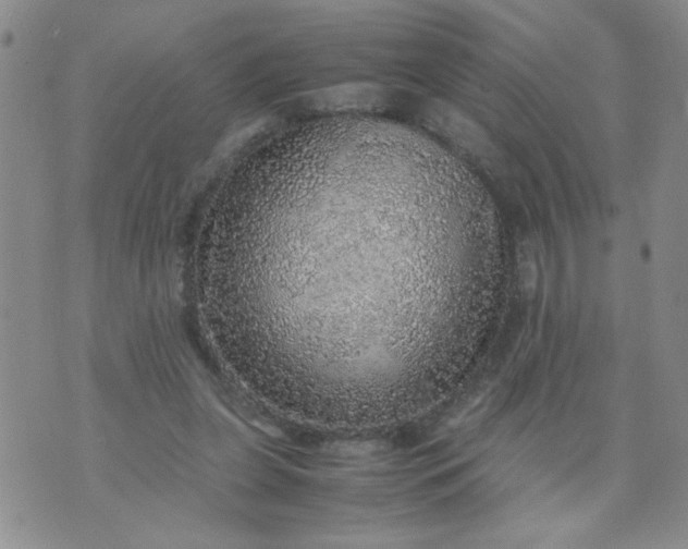 X0000070410255200606231835