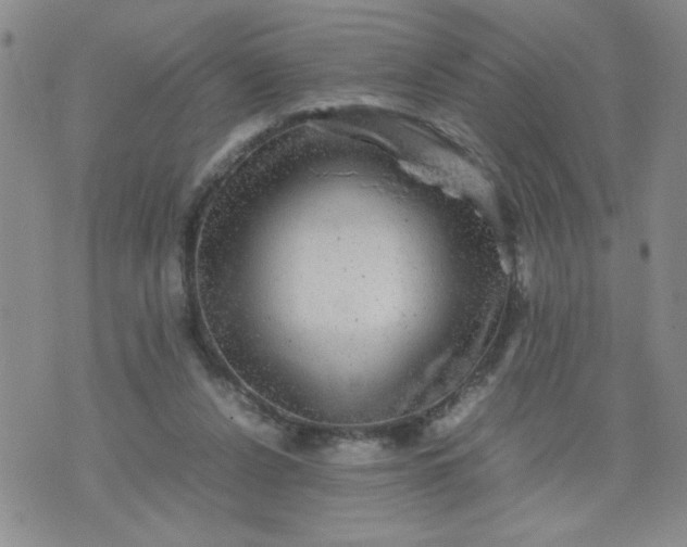 X0000070410256200606231835