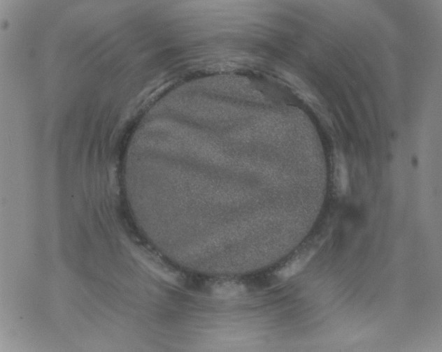 X0000070410258200606231835