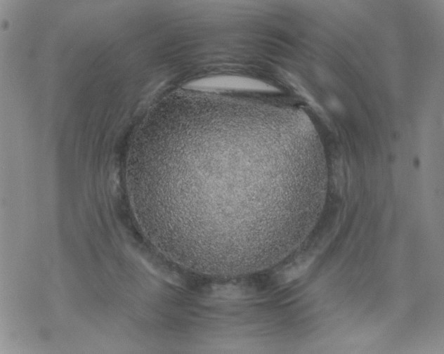 X0000070410259200606231835