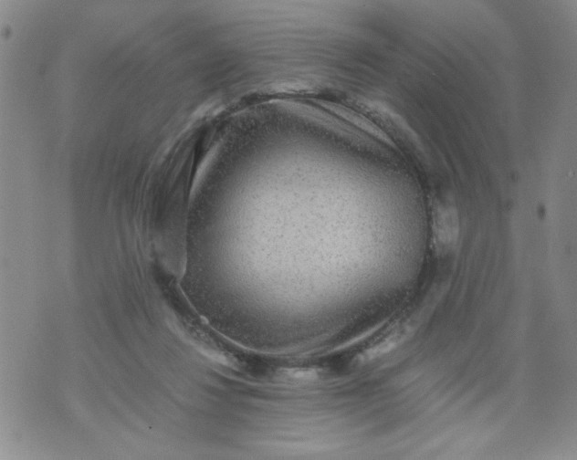 X0000070410260200606231835