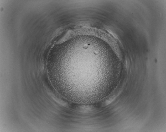 X0000070410261200606231835