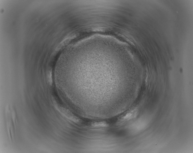 X0000070410262200606231835