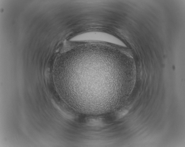 X0000070410263200606231835