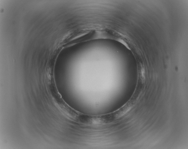 X0000070410264200606231835