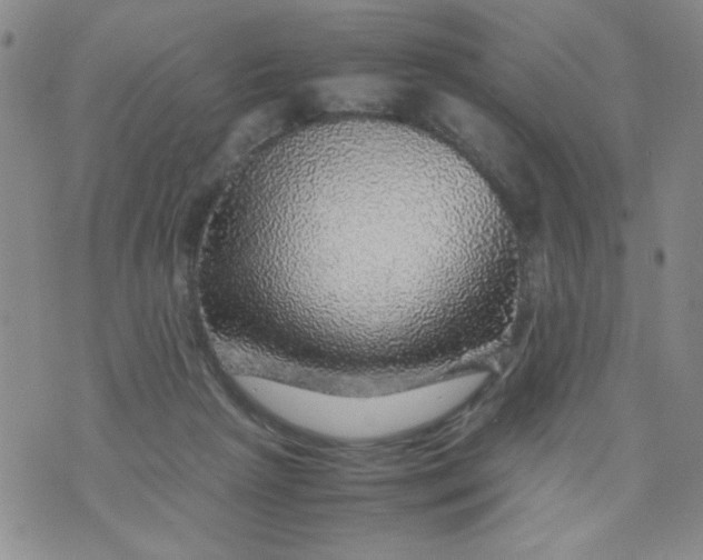 X0000070410265200606231835