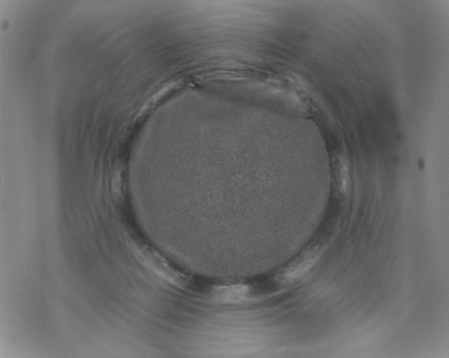 X0000070410266200606231835