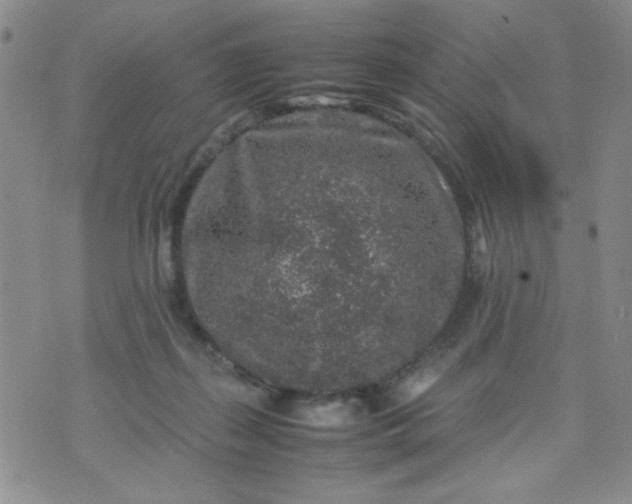 X0000070410267200606231835