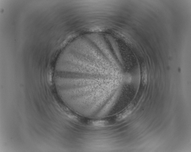 X0000070410268200606231835