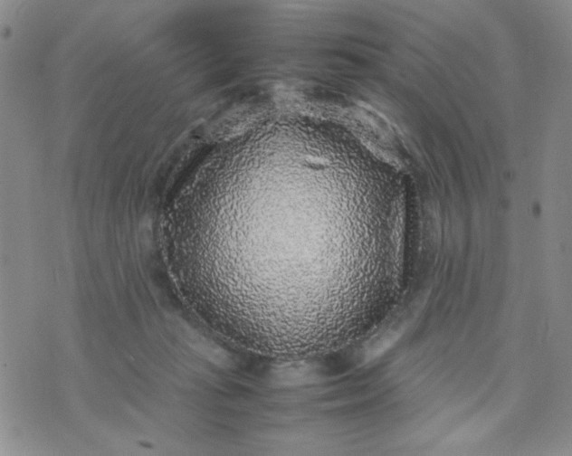 X0000070410269200606231835