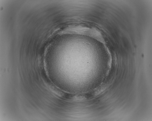 X0000070410270200606231835