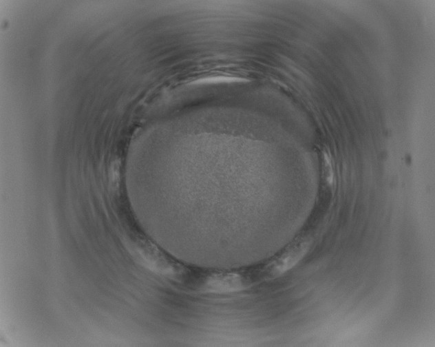 X0000070410271200606231835