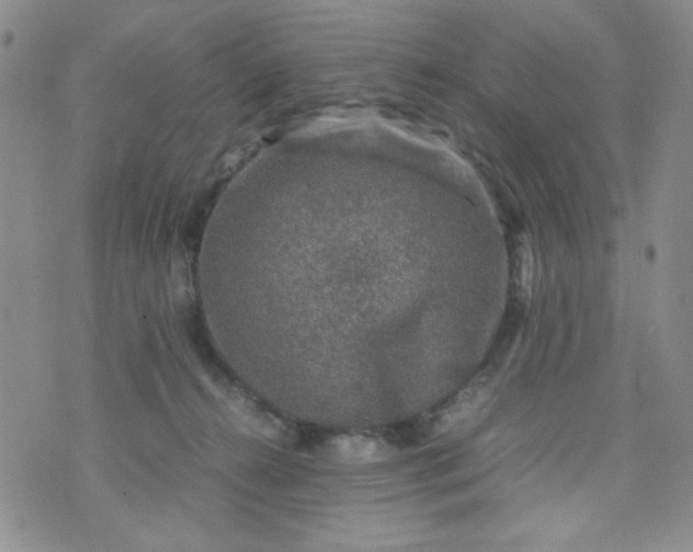 X0000070410272200606231835