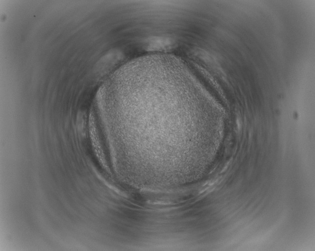 X0000070410273200606231835