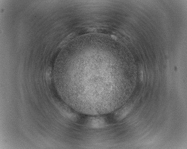 X0000070410275200606231835