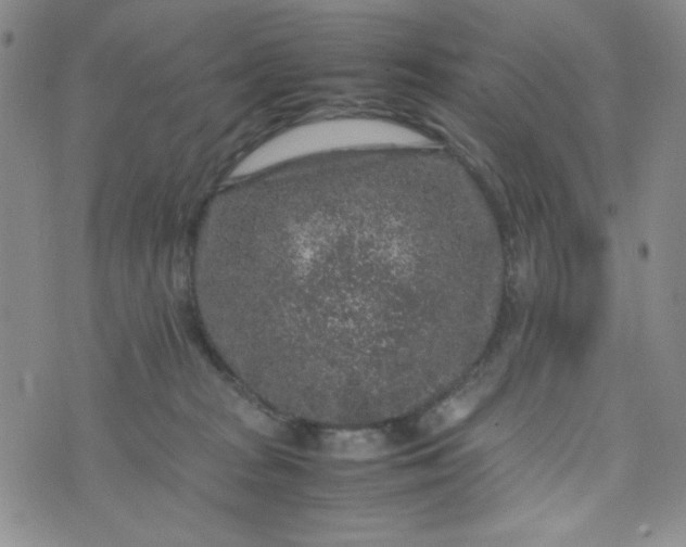 X0000070410277200606231836