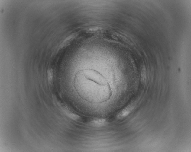 X0000070410278200606231836